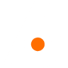 Birdeye